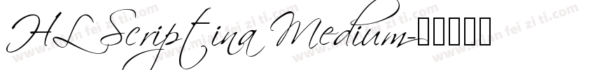 HL Scriptina Medium字体转换